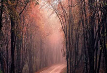 九游体育 -[瞼弢堜?痑?鲐峻遼１久K}鯇圯q厲cP啈?|釙Xほ篷爟)k`8?Fq^?C鞓鍠菡fP的简单介绍